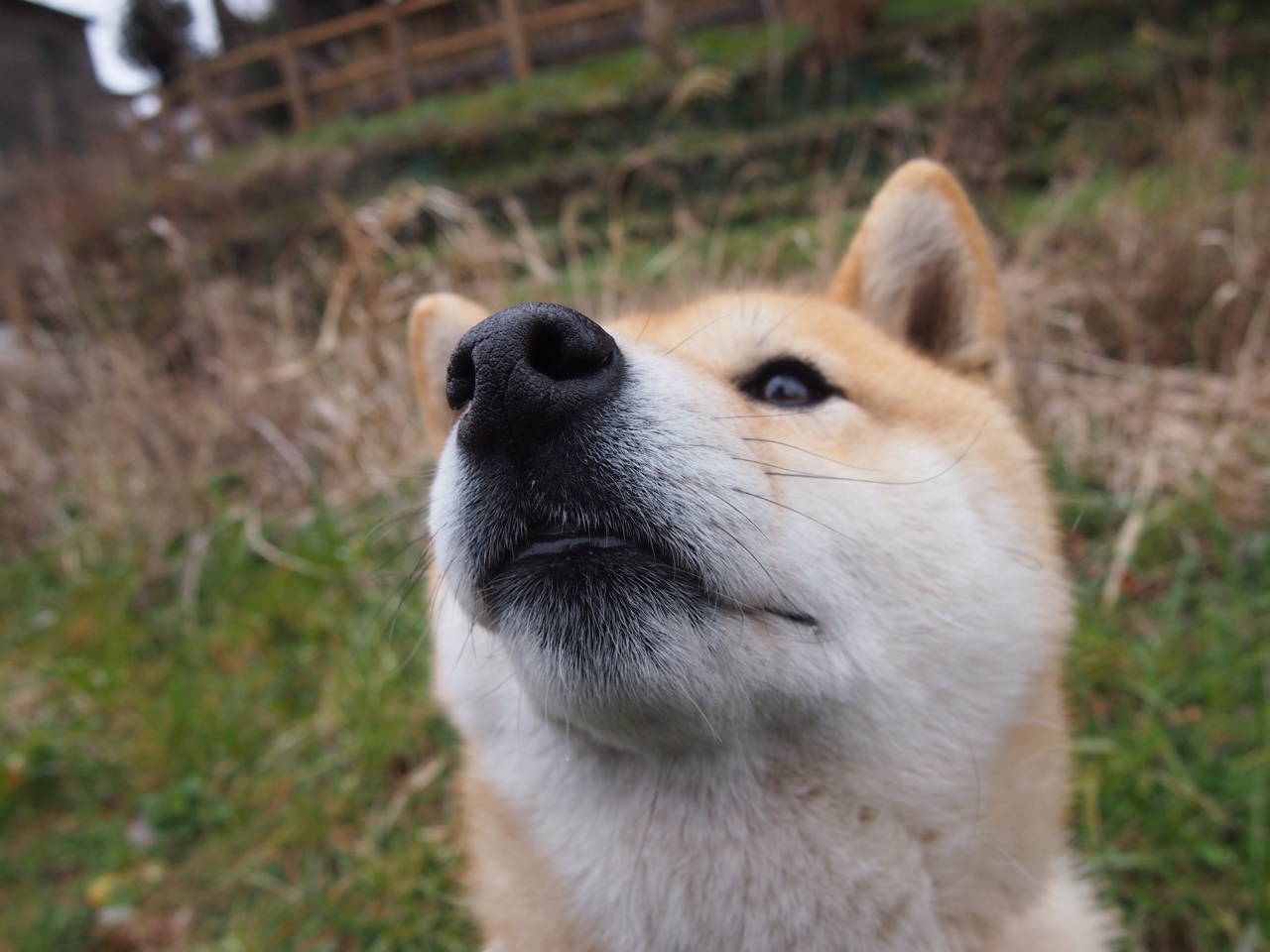 开云·体育官网APP下载-勇士球员普尔谈心理调节：“保持快乐才能高效得分”，普尔勇士数据