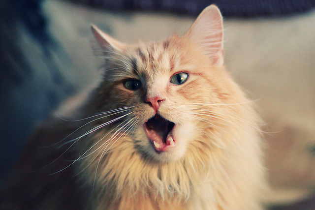 详细阅读:KAIYUNAPP-罗马在博洛尼亚遭遇失利,寻找反弹之路,罗马vs博洛尼亚最新消息 KAIYUNAPP-罗马在博洛尼亚遭遇失利,寻找反弹之路,罗马vs博洛尼亚最新消息