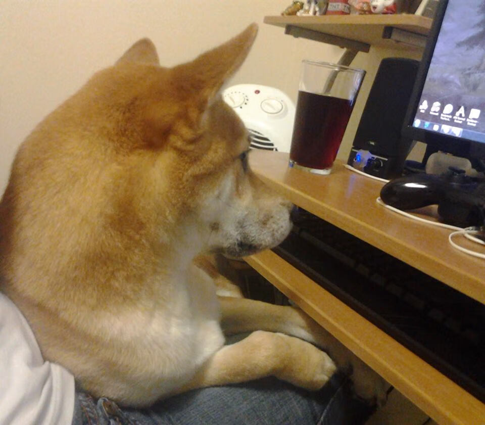 kaiyun网站-快船后场组合默契日趋体现，快船赛后