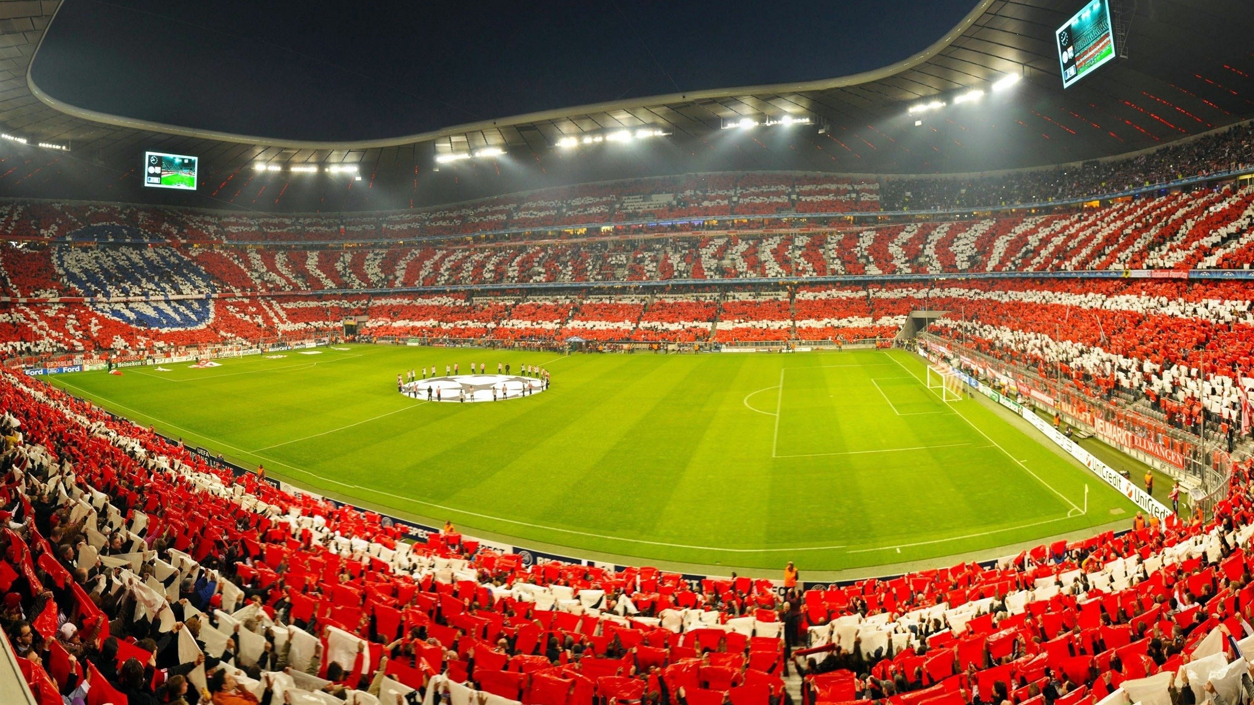 _老虎般的猛龙，鏖战到底笑到最后_，迅猛的老虎