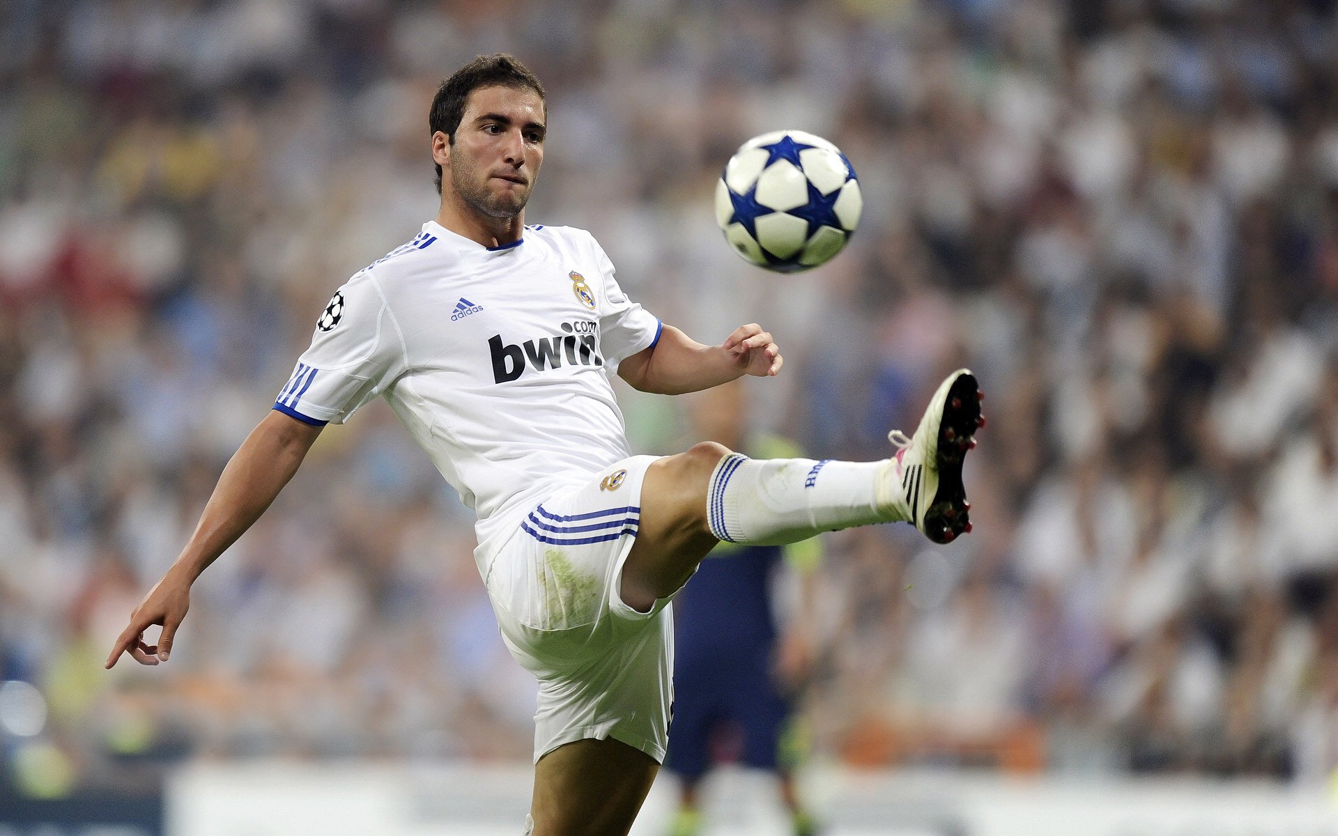 “荒野猎手:沙漠与森林中的激烈追逐”,荒野 沙漠